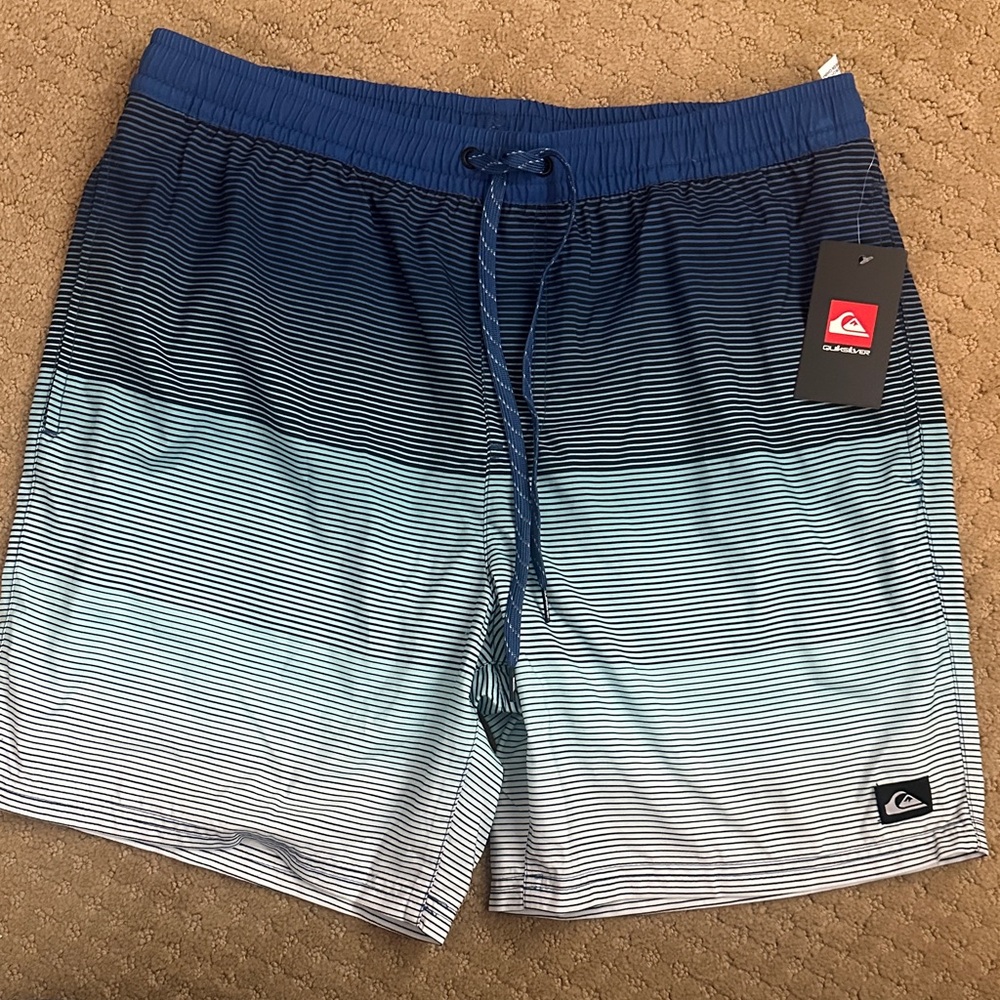 Quiksilver Men's Gradient Blue Board Shorts